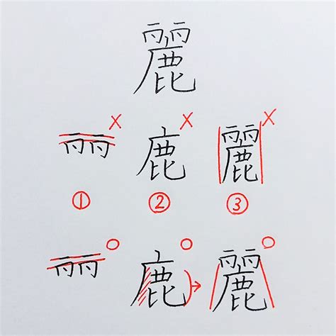 麗字筆劃|「麗」の書き方